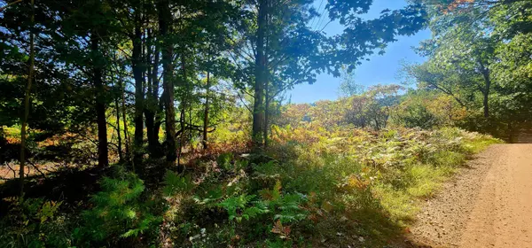 Shelby, MI 49455,25VL W Grant Rd