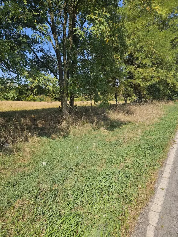 Horton, MI 49246,VL Thorne Road