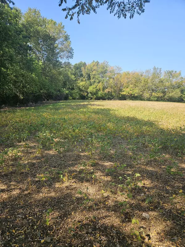 Horton, MI 49246,VL Thorne Road