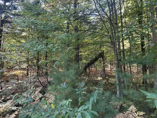 Baldwin, MI 49304,PAR A 16th Street