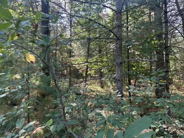 Baldwin, MI 49304,PAR B 16th Street