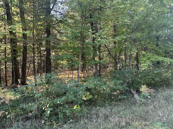 Baldwin, MI 49304,PAR B 16th Street