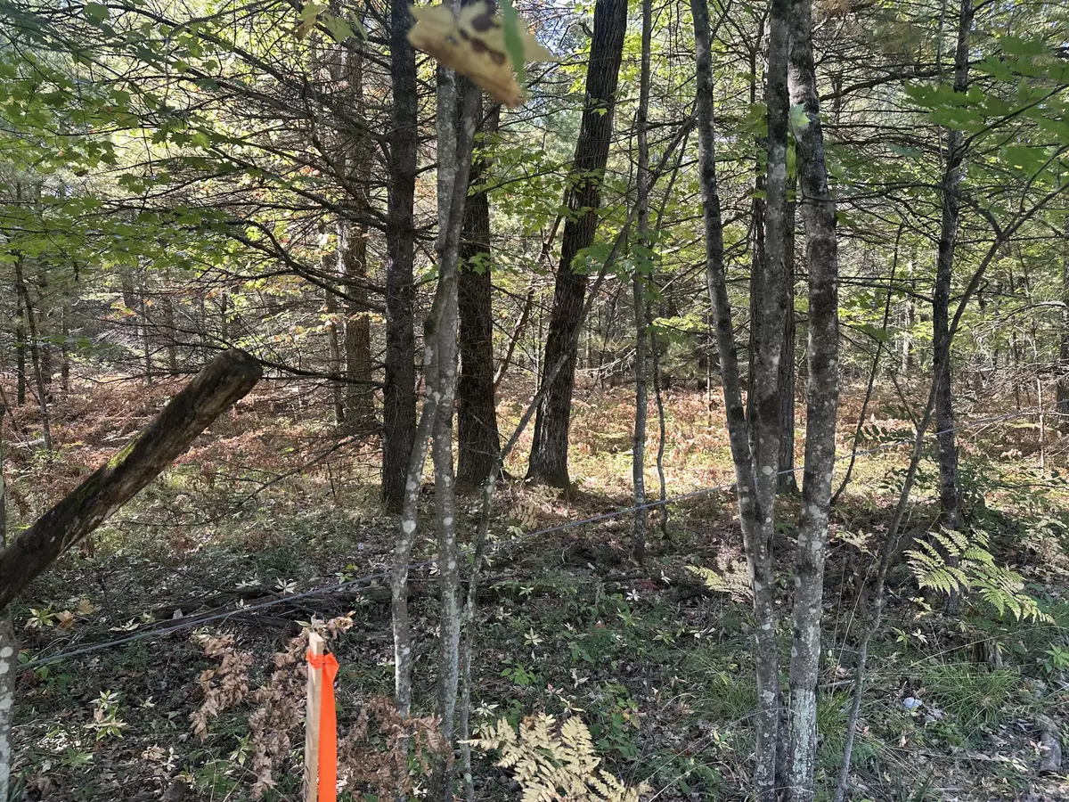 Baldwin, MI 49304,PAR B 16th Street