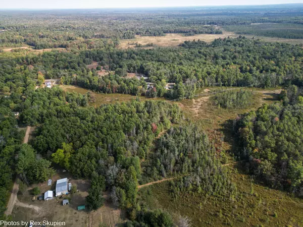 White Cloud, MI 49349,0 N Centerline Road