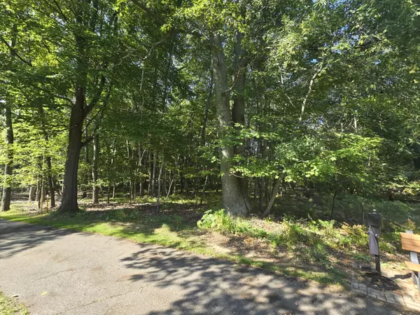Canadian Lakes, MI 49346,6728 Beechnut Ridge