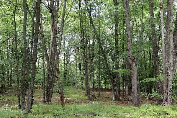 Lake, MI 48632,V/L02 Jackson Avenue