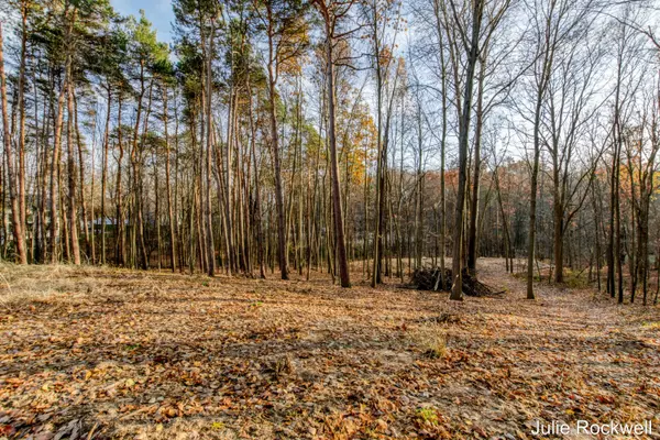 3669 Buttrick SE Avenue, Ada, MI 49301