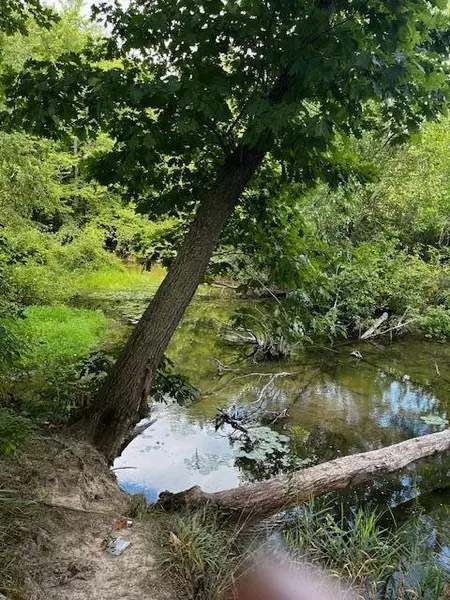 12808 Lincoln Lake NE Avenue, Gowen, MI 49326