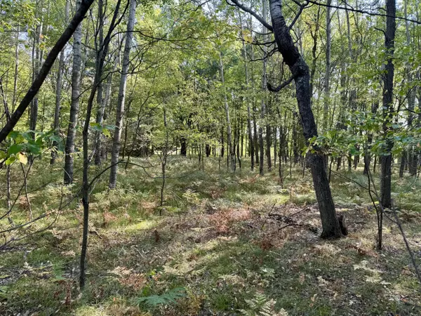 Canadian Lakes, MI 49346,6742 Abbey Lane