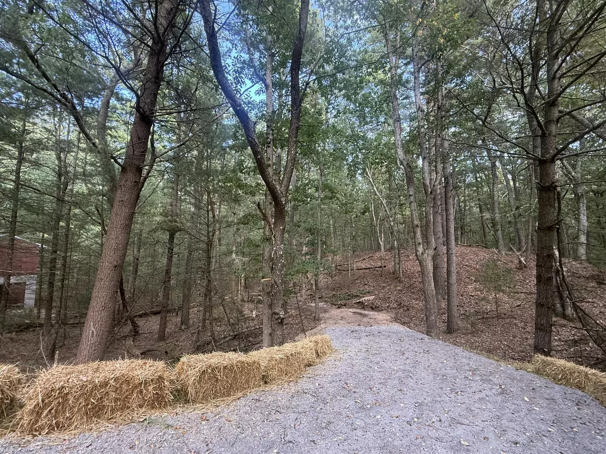 Pentwater, MI 49449,VL Lenox