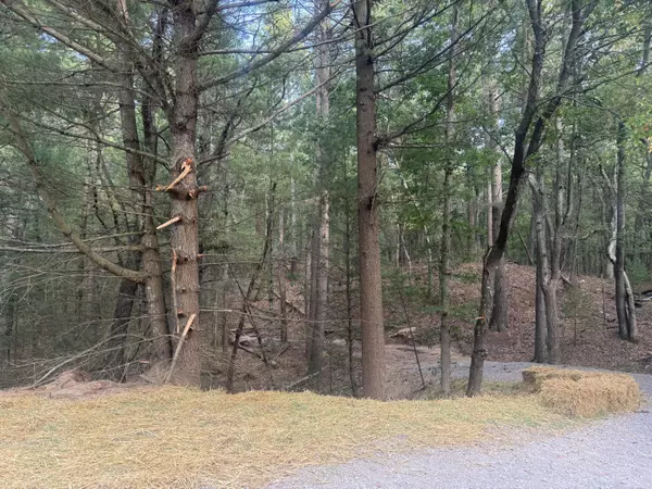 Pentwater, MI 49449,VL Lenox