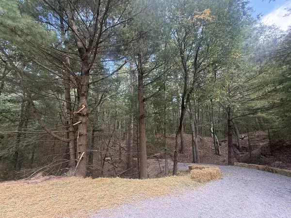 Pentwater, MI 49449,VL Lenox