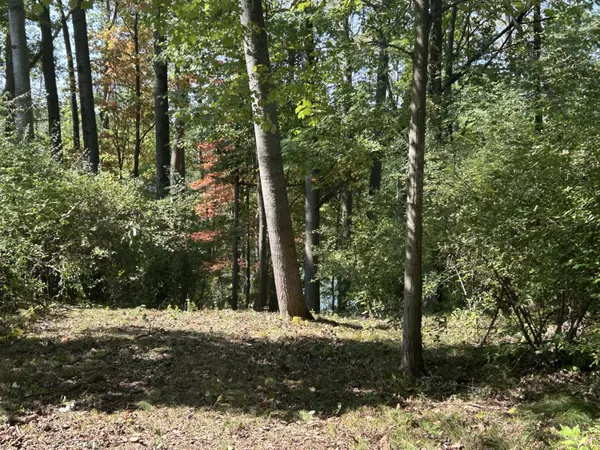 Canadian Lakes, MI 49346,8601 N. Island Drive #41