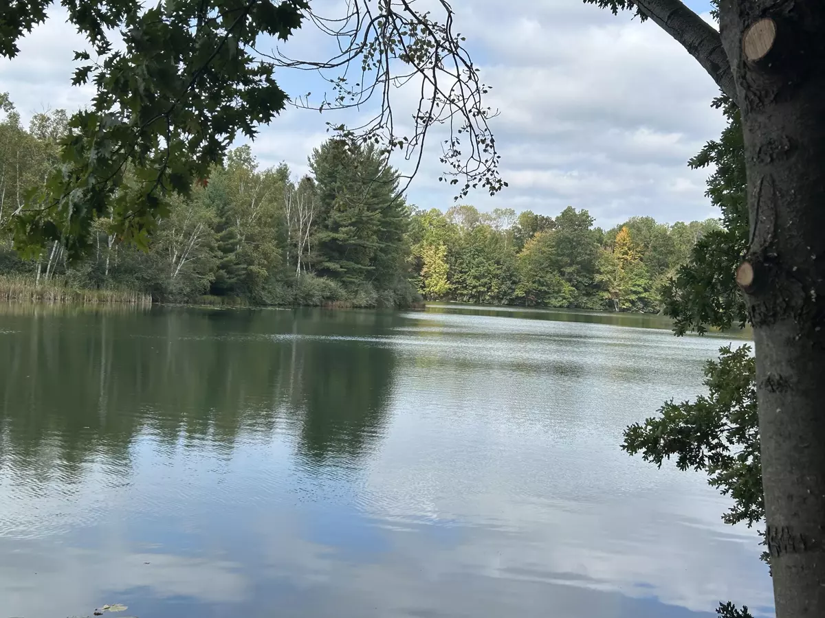 Canadian Lakes, MI 49346,8601 N. Island Drive #41