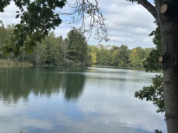 8601 N. Island Drive #41, Canadian Lakes, MI 49346