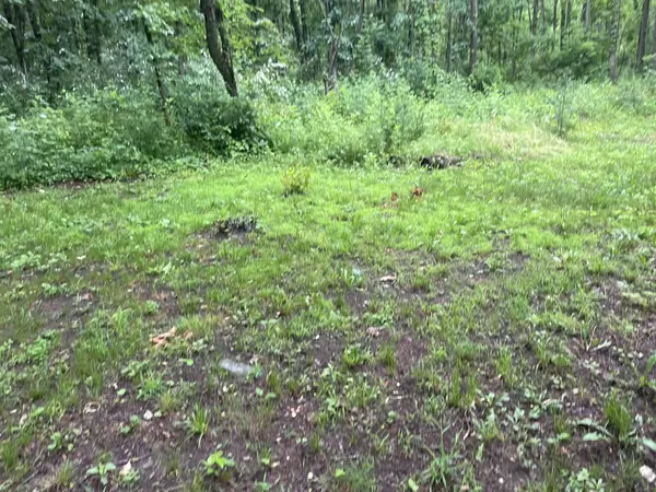 Plainwell, MI 49080,667 Pierce Road