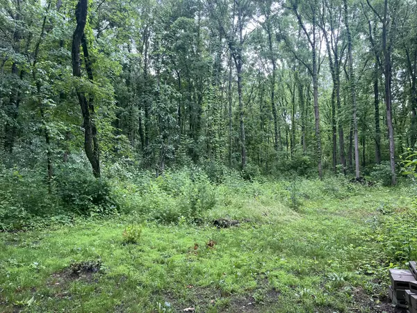 Plainwell, MI 49080,667 Pierce Road