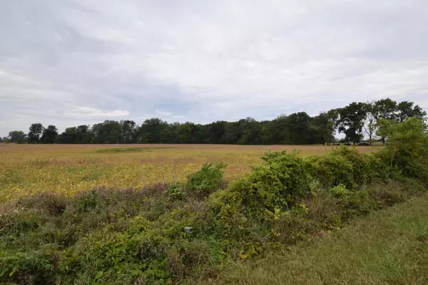 Bronson, MI 49028,Rierson Road