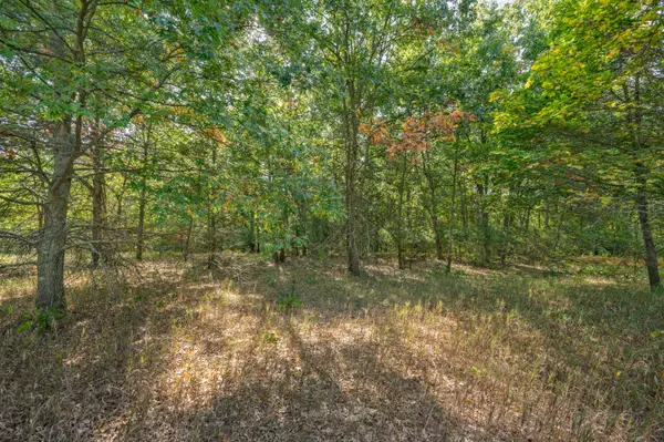 Big Rapids, MI 49307,Lot 9 University Club Dr