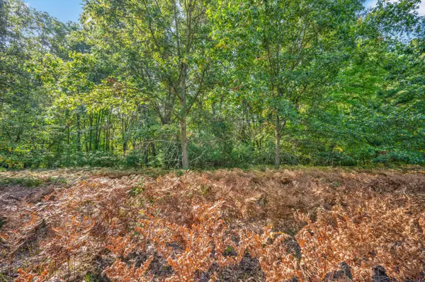 Big Rapids, MI 49307,Lot 7 University Club Dr