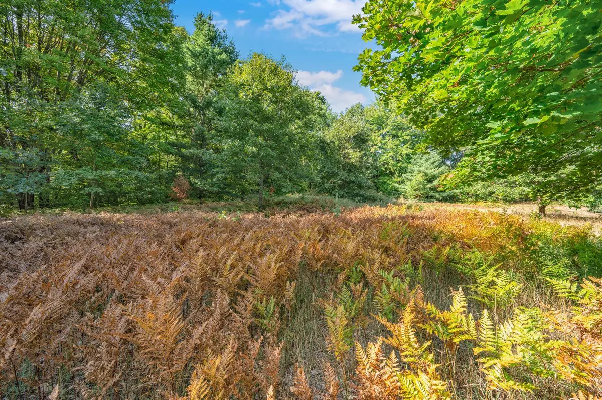 Big Rapids, MI 49307,Lot 6 University Club Dr