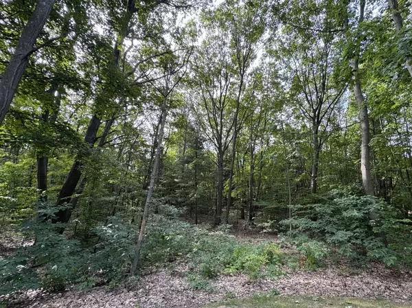 South Haven, MI 49090,76757 Wood Crest Court
