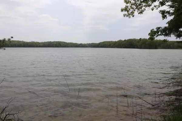 Bellaire, MI 49615,V/L Woods Rd