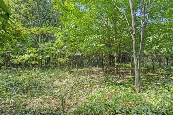 Paw Paw, MI 49079,V/L 56th Avenue