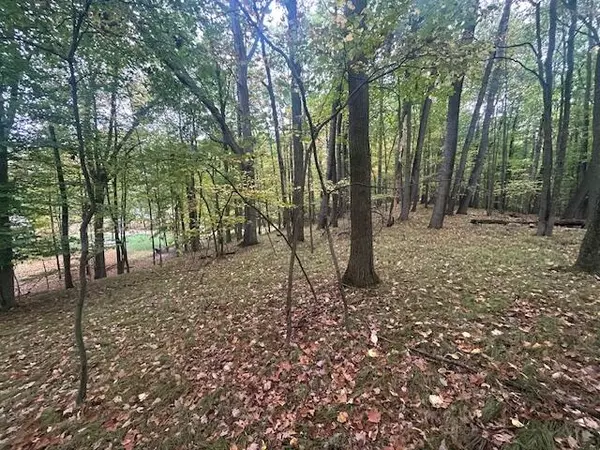 Canadian Lakes, MI 49346,11269 Apache Wells Court #611