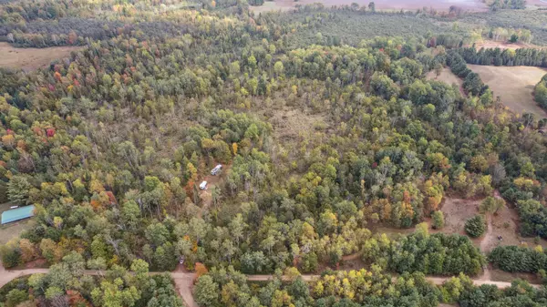 Evart, MI 49631,10934 40th Ave Avenue