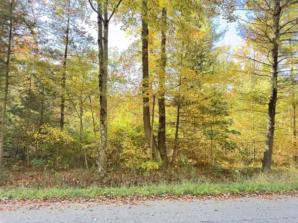 Twin Lake, MI 49457,0 E Tyler Road