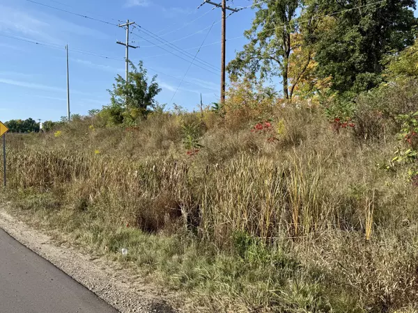 Parma, MI 49269,VL N Parma Road