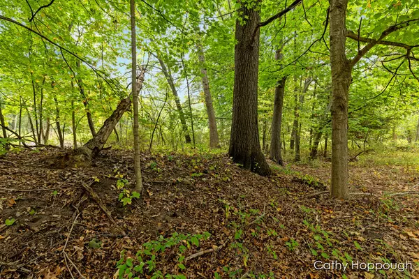 Par 1 E Blue Water Highway,  Muir,  MI 48860