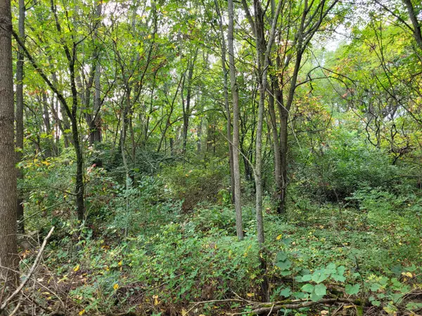 Niles, MI 49120,892 Sullivan Avenue