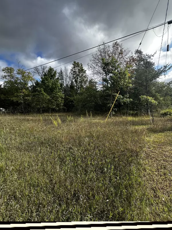 3448 S M-37, Baldwin, MI 49304