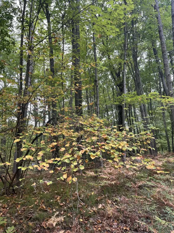 Farwell, MI 48622,Lot 681 Elm Drive