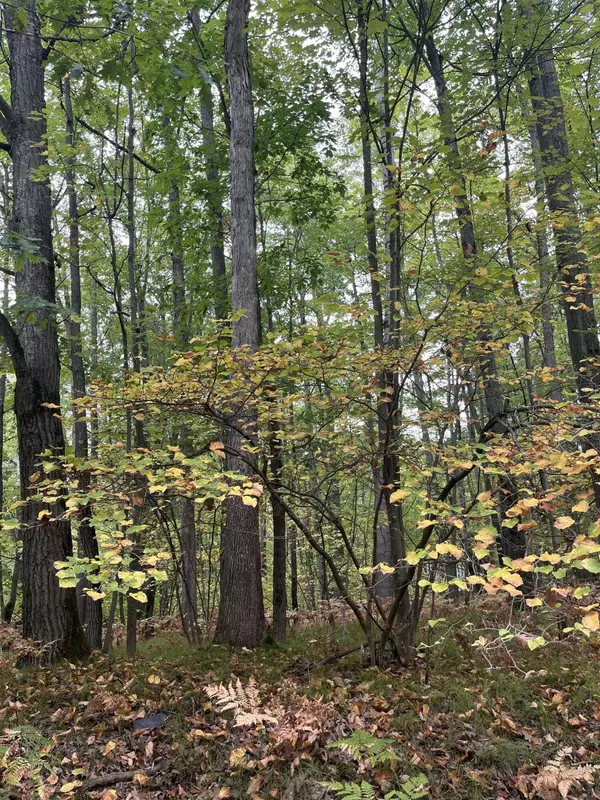 Farwell, MI 48622,Lot 681 Elm Drive