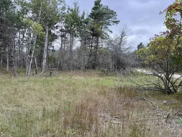 Onekama, MI 49675,1 Greenway