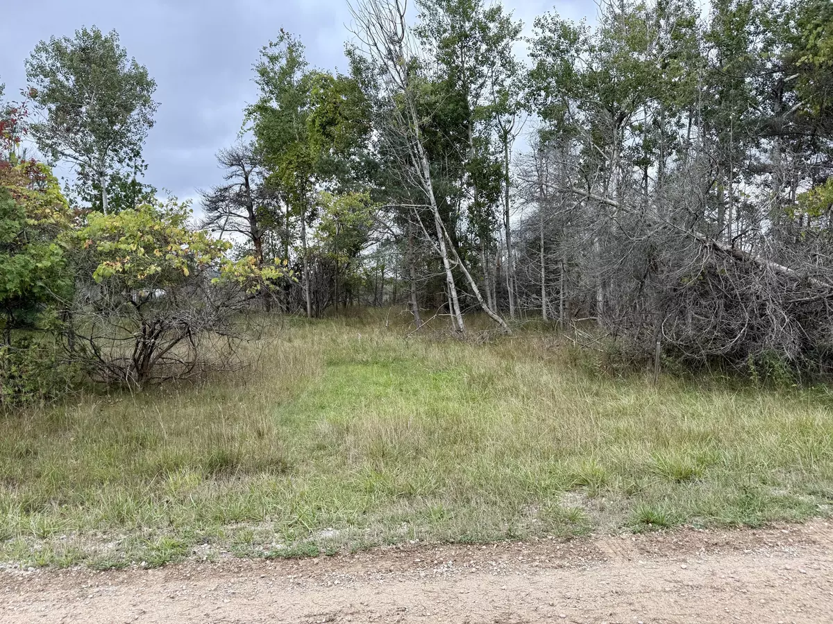 Onekama, MI 49675,1 Greenway