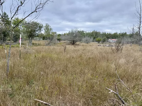 Onekama, MI 49675,1 Greenway