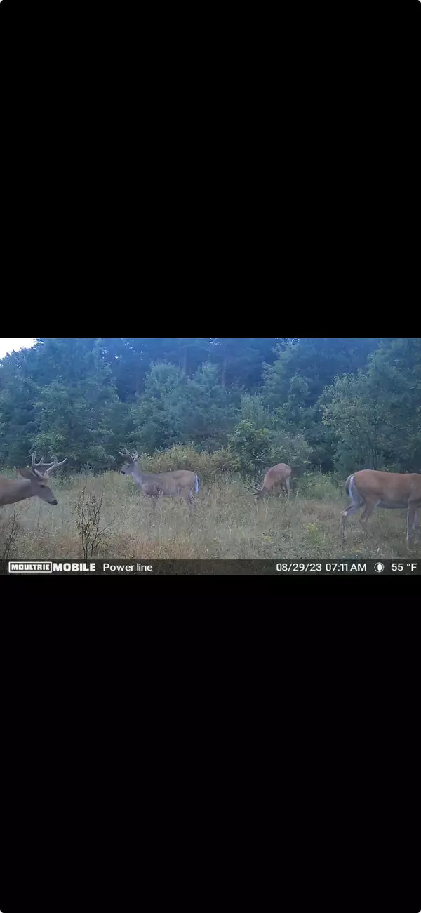 Hesperia, MI 49421,2969 E Loop Road