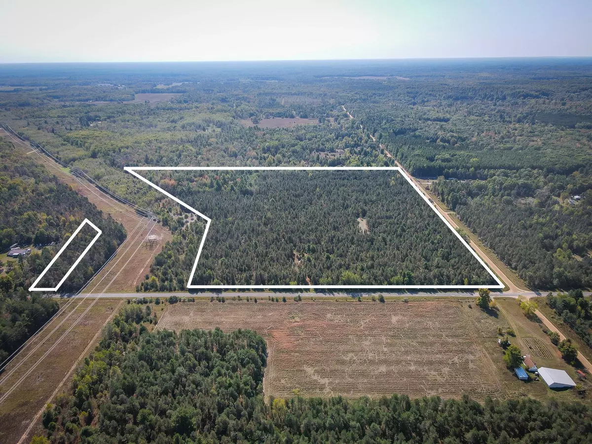 Hesperia, MI 49421,2969 E Loop Road