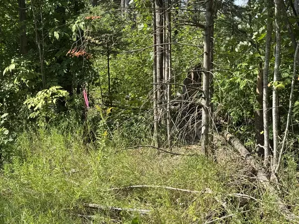 Levering, MI 49755,E Levering Road