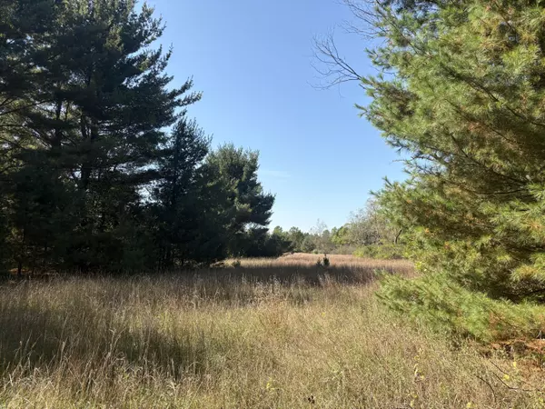 Mesick, MI 49668,V/L 22 1/2 W 22 1/2 Road