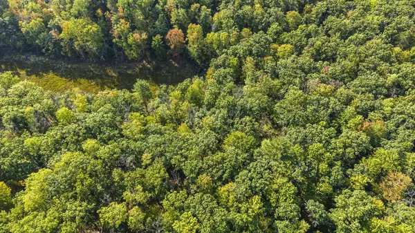 916 E 6 Mile Road, White Cloud, MI 49349