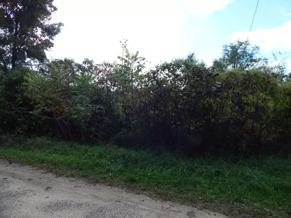Sturgis, MI 49091,VL Seneca Court