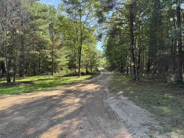 E County Line Road, Free Soil, MI 49411