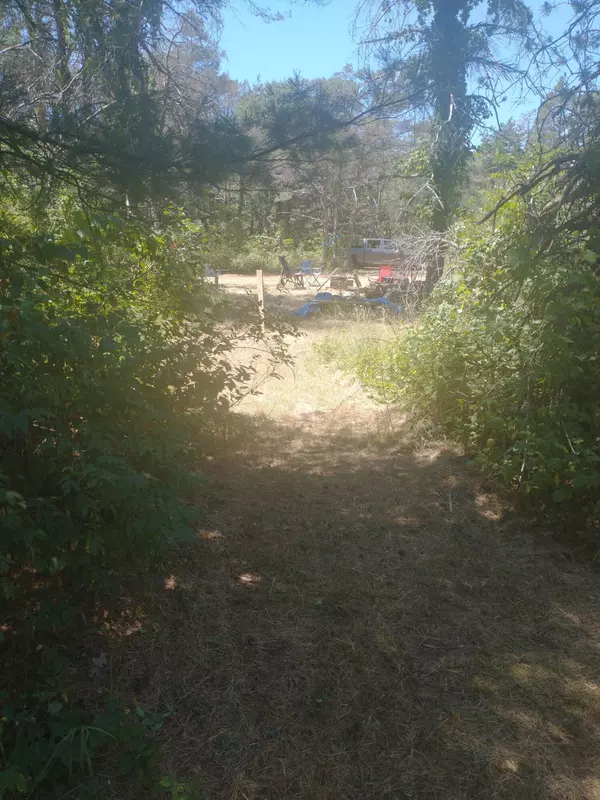 Newaygo, MI 49337,V/L S Tall Pine Trail