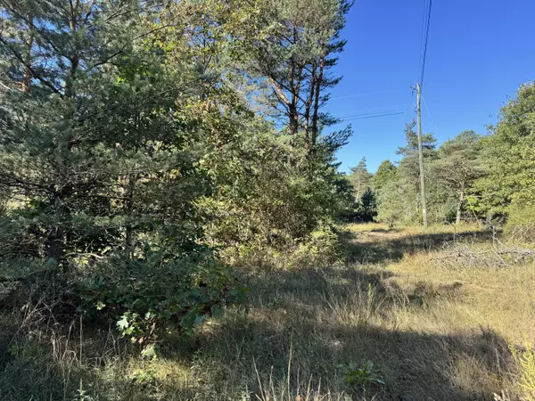 Newaygo, MI 49337,V/L S Tall Pine Trail
