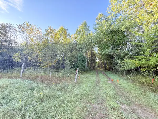 Cadillac, MI 49601,V/L E 38 Road